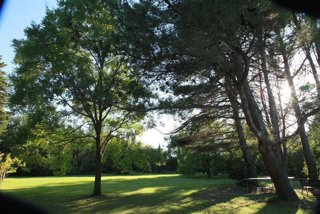 Mas La Provence Panzió L'Isle-sur-la-Sorgue Kültér fotó